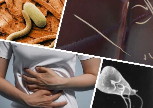 treatment of parasites in the body